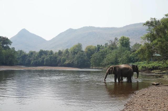 全球各地旅行,教你如何成為一個(gè)更好的游客