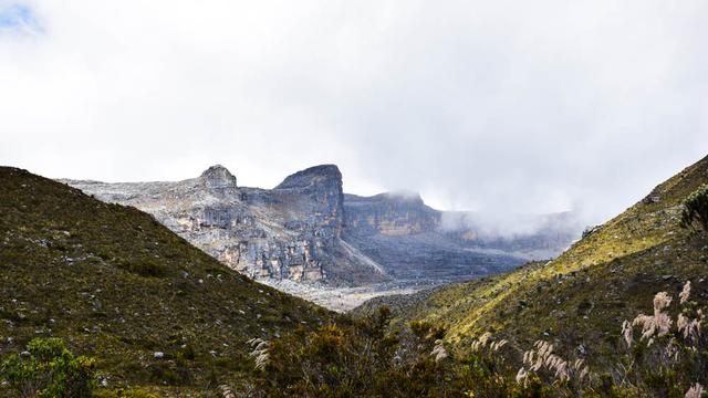 走進(jìn)南美哥倫比亞,探索埃爾科奎國(guó)家公園