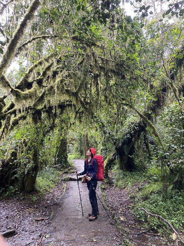 登上非洲之巔乞力馬扎羅山,瑞士Odlo奧遞樂保暖內衣實測