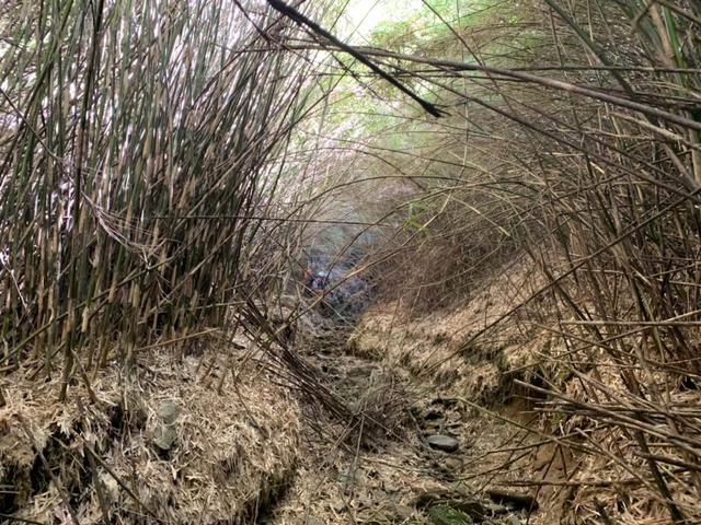 專為女性設計的登山鞋,Zamberlan贊貝拉登山鞋戶外開箱實測