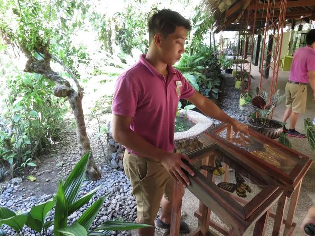 菲律賓自由行,宿霧薄荷島五天四夜行程旅游攻略