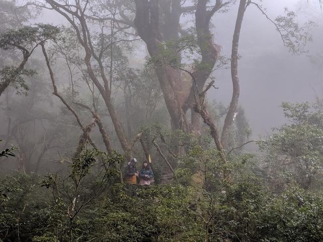 La Sportiva越野跑鞋評測,一鞋多用、帥氣兼具
