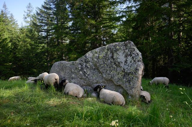勃朗峰環線TMB徒步之旅,穿越歐洲法意瑞三國