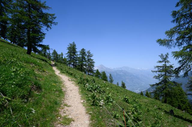 勃朗峰環線TMB徒步之旅,穿越歐洲法意瑞三國
