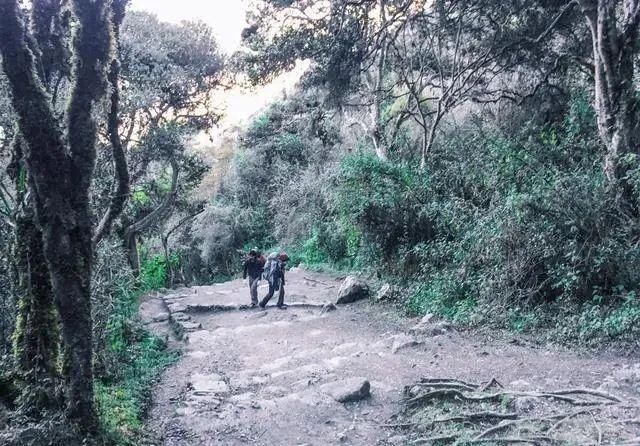 秘魯馬丘比丘印加古道攻略,4天3夜露營徒步之旅