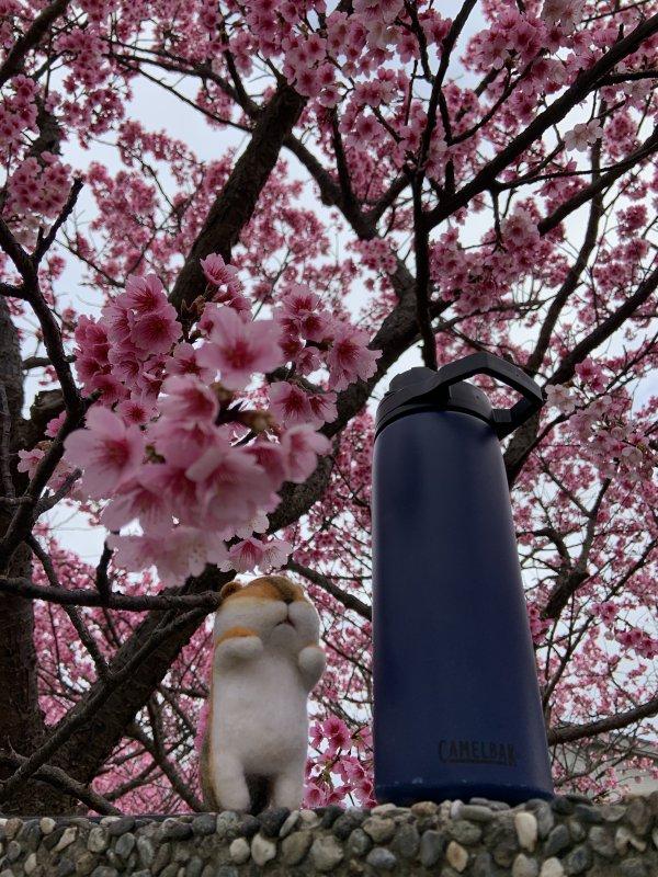 駝峰CamelBak多用途保溫水杯開箱評測,給你不一樣的喝水體驗