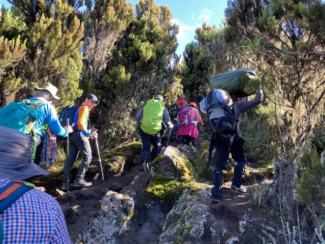 攀登非洲第一高峰,讓人向往的乞力馬扎羅山值得你來體驗