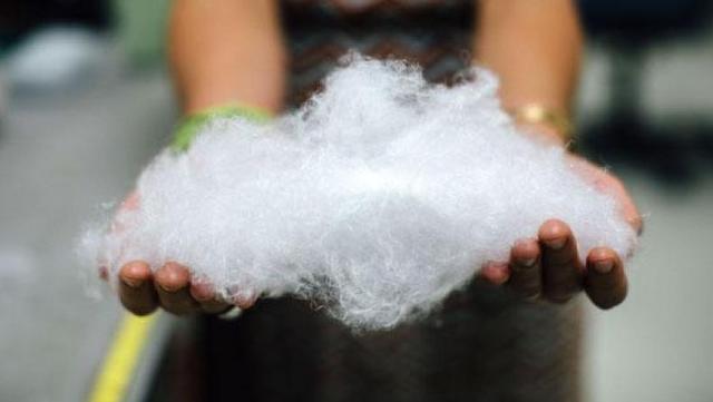 棉服和羽絨服哪個更保暖?看完別買錯了