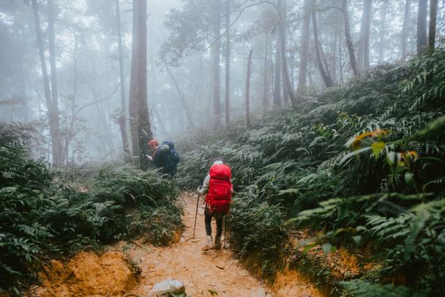 登山如何預防迷路?發生山難怎么辦?