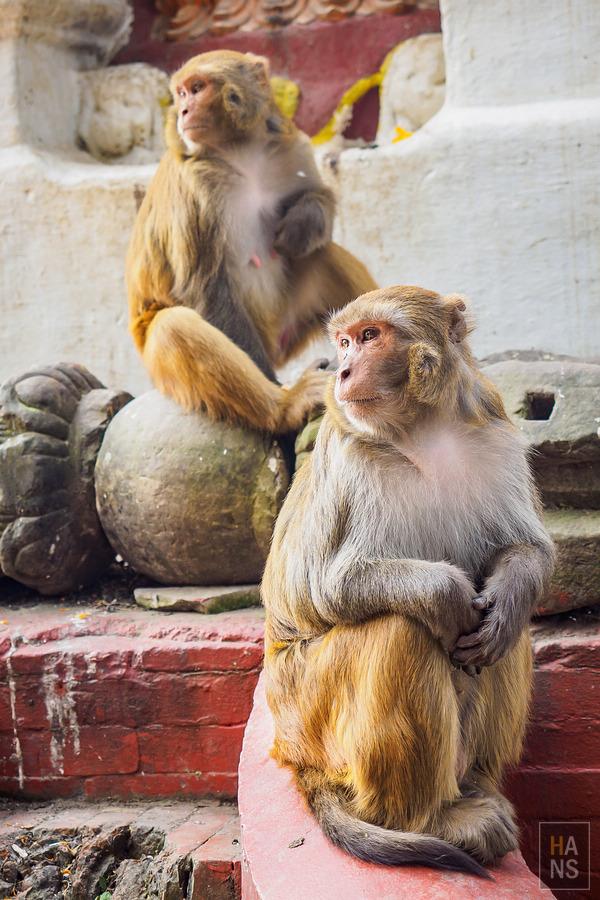 尼泊爾,EBC珠峰大本營徒步行程、行前準備、相關徒步游記