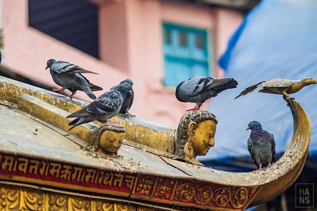 尼泊爾,EBC珠峰大本營徒步行程、行前準備、相關徒步游記