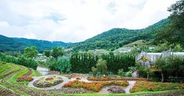 泰國自由行,第一次去清邁旅游值得一去的景點、實用信息在這里