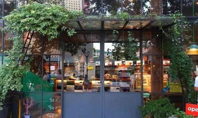 泰國自由行,第一次去清邁旅游值得一去的景點、實用信息在這里