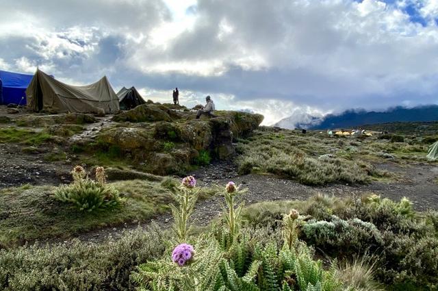 攀登非洲第一高峰,讓人向往的乞力馬扎羅山值得你來體驗
