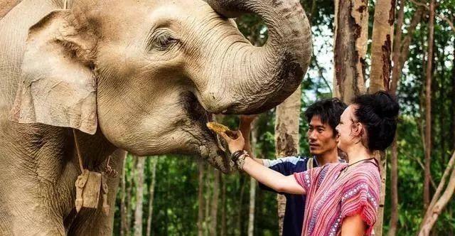 泰國自由行,第一次去清邁旅游值得一去的景點、實用信息在這里