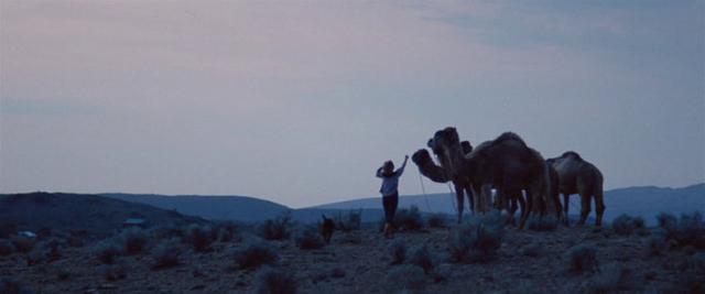 戶外旅行前必看的9部經典電影,你看了幾部?