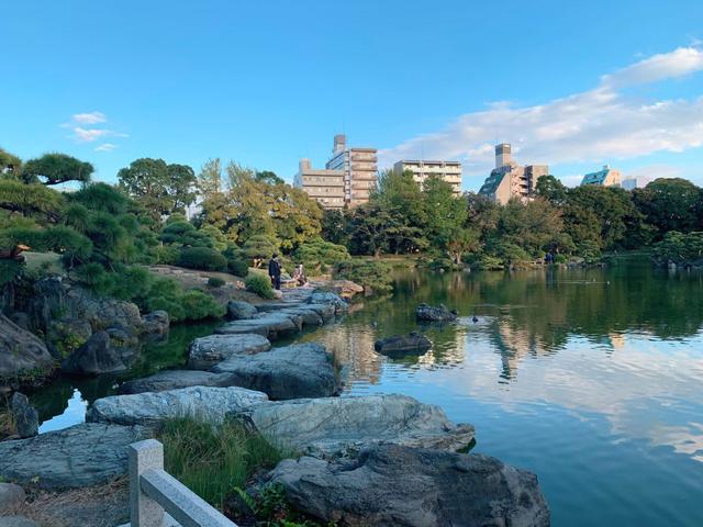 日本東京自由行,新手必看東京自助游攻略行程