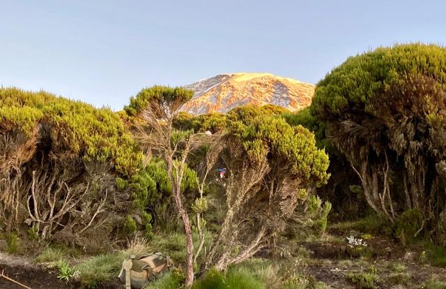 攀登非洲第一高峰,讓人向往的乞力馬扎羅山值得你來體驗