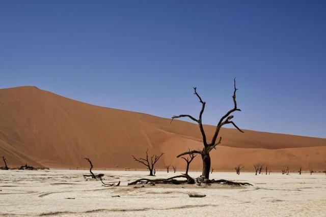 想要去野外探險(xiǎn),這九大城市值得去體驗(yàn)