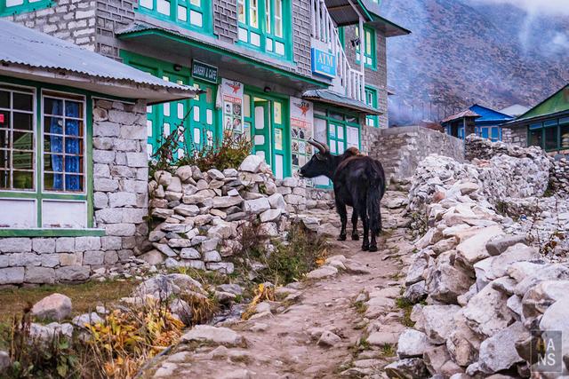 尼泊爾,EBC珠峰大本營徒步行程、行前準備、相關徒步游記