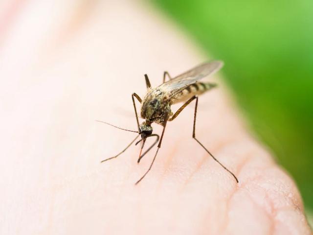 新加坡旅行不知道這10大旅游禁忌,當心被罰款!