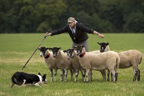 登山杖推薦,可參考我買的這款ASOLO登山杖開箱