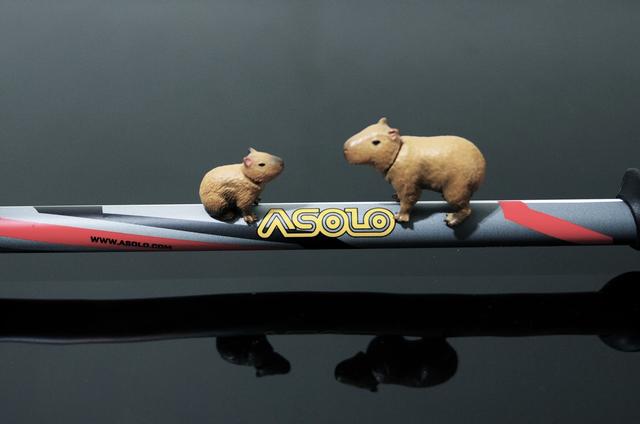 登山杖推薦,可參考我買的這款ASOLO登山杖開箱