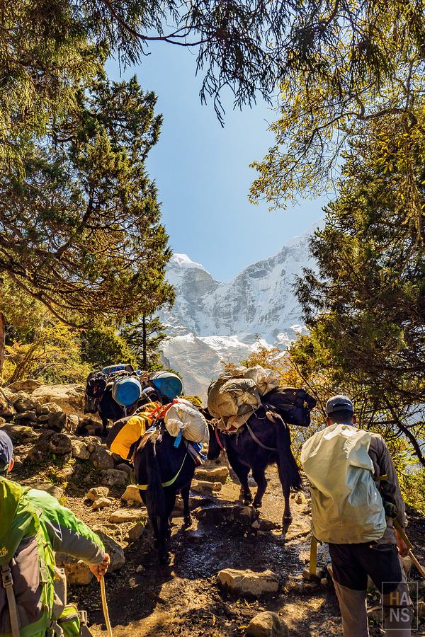 尼泊爾,EBC珠峰大本營徒步行程、行前準備、相關徒步游記