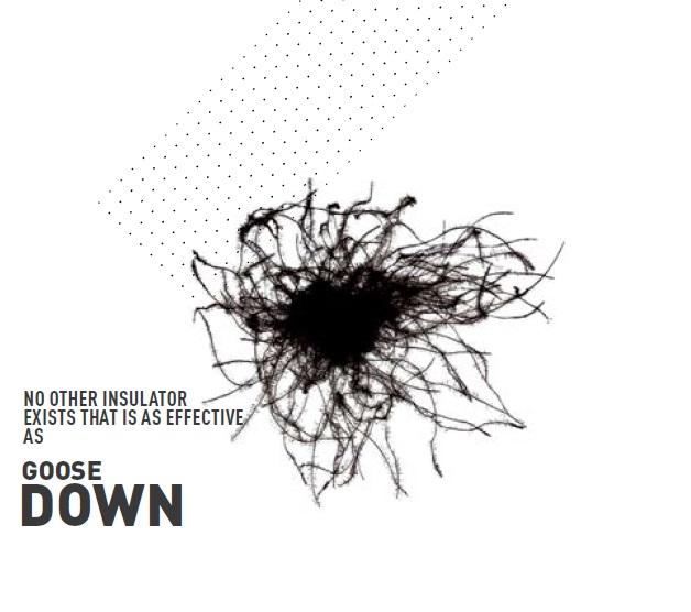 來自波蘭的戶外品牌,推薦介紹Pajak羽絨睡袋系列