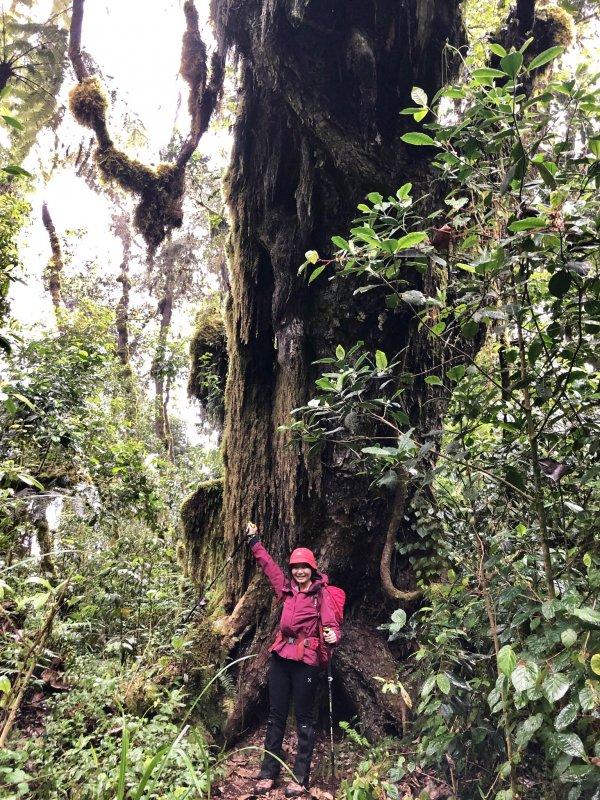 攀登非洲第一高峰,讓人向往的乞力馬扎羅山值得你來體驗
