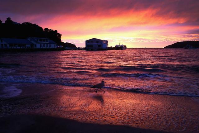 新西蘭看極光攻略,6月看極光、12月露營