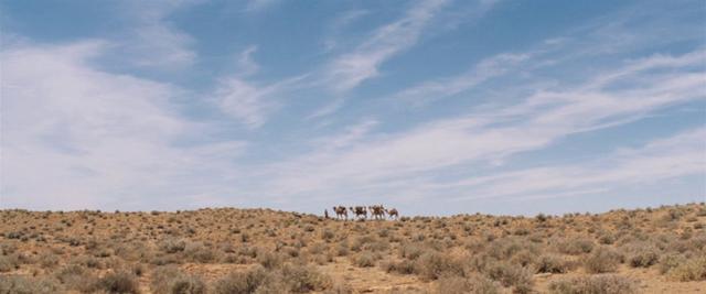 戶外旅行前必看的9部經典電影,你看了幾部?