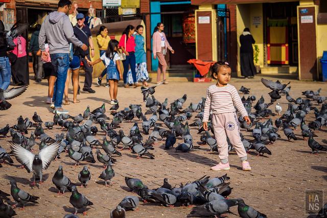 尼泊爾,EBC珠峰大本營徒步行程、行前準備、相關徒步游記