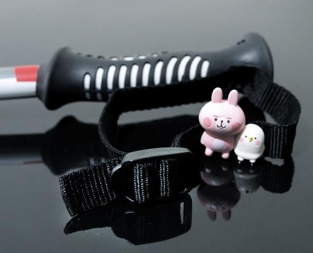 登山杖推薦,可參考我買的這款ASOLO登山杖開箱