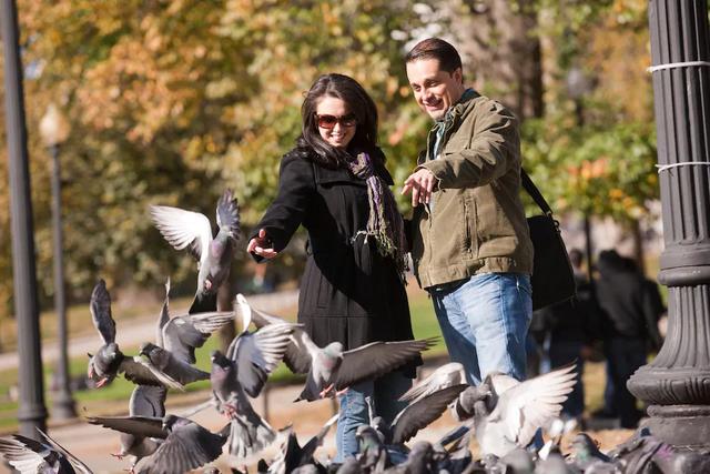 新加坡旅行不知道這10大旅游禁忌,當心被罰款!