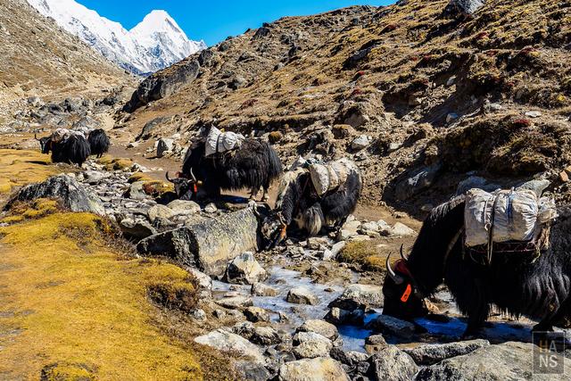 尼泊爾,EBC珠峰大本營徒步行程、行前準備、相關徒步游記