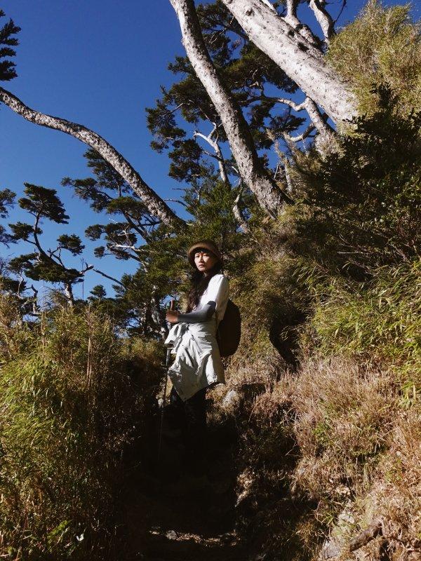 Odlo奧遞樂戶外保暖內衣實測,怕冷的人值得擁有