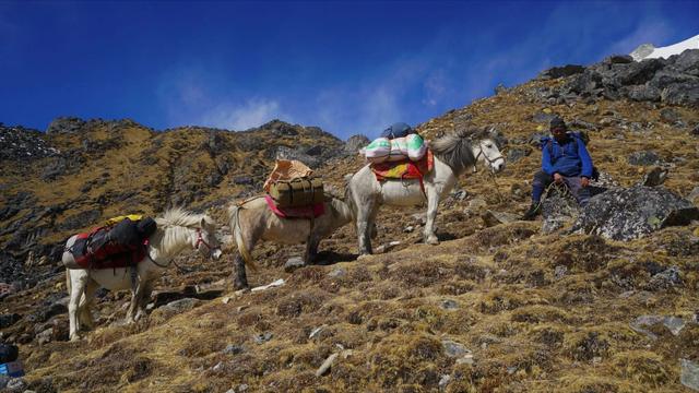 四姑娘雪山攀登,攀駱駝峰的點點記憶