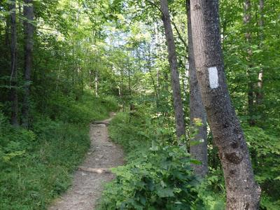 全長(zhǎng)3500公里沿途經(jīng)過(guò)105個(gè)城鎮(zhèn),荒野求生者的阿帕拉契亞小徑