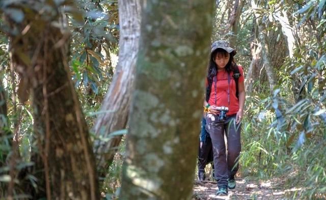 薩洛蒙(Salomon)VAYA中幫防水登山鞋實測,一款女孩專屬戶外鞋