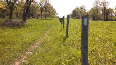 全長(zhǎng)3500公里沿途經(jīng)過(guò)105個(gè)城鎮(zhèn),荒野求生者的阿帕拉契亞小徑