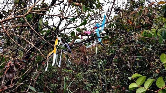 戶外路標,徒步爬山掛布條是好事還是壞事?