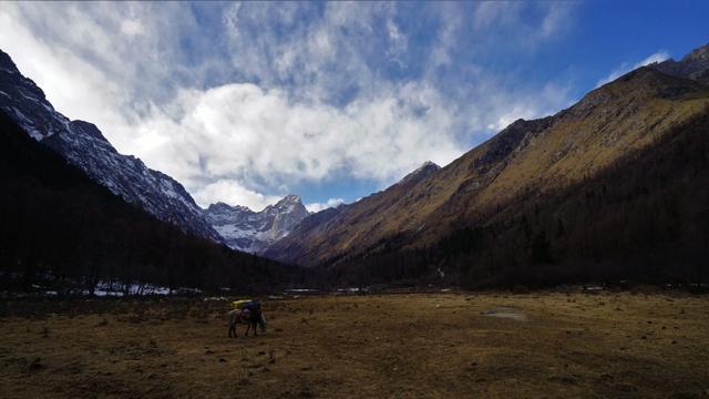 四姑娘雪山攀登,攀駱駝峰的點點記憶