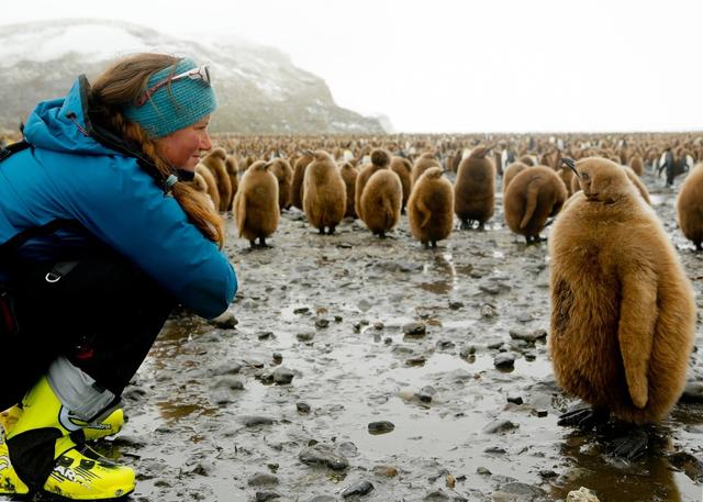 天上有只鳥地上有只鼠,Kl?ttermusen顛覆戶外時尚的一個品牌