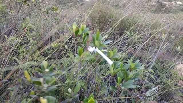 戶外路標,徒步爬山掛布條是好事還是壞事?