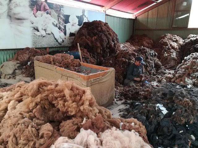 秘魯旅行,讓我們一起探索白色之城阿雷基帕