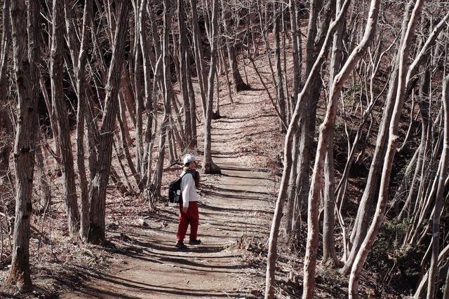 Smartwool羊毛內衣、羊毛襪測評,快樂享受每一天