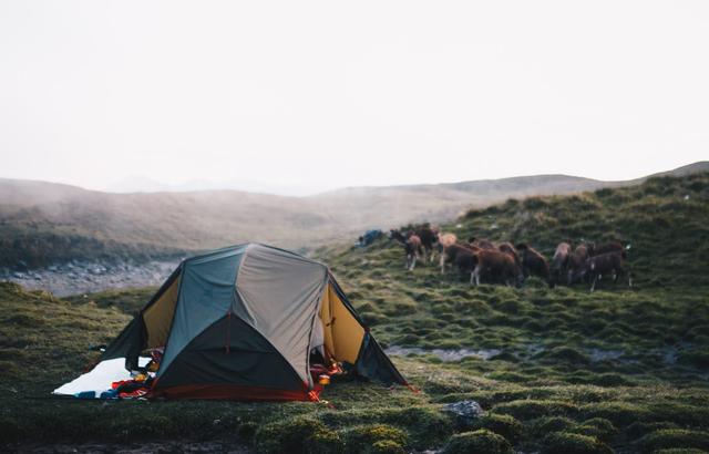 MSR超輕雙人露營帳篷,我們的裝備戶外的家 MSR超輕雙人露營帳篷,我們的裝備戶外的家