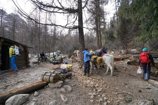四姑娘雪山攀登,攀駱駝峰的點點記憶