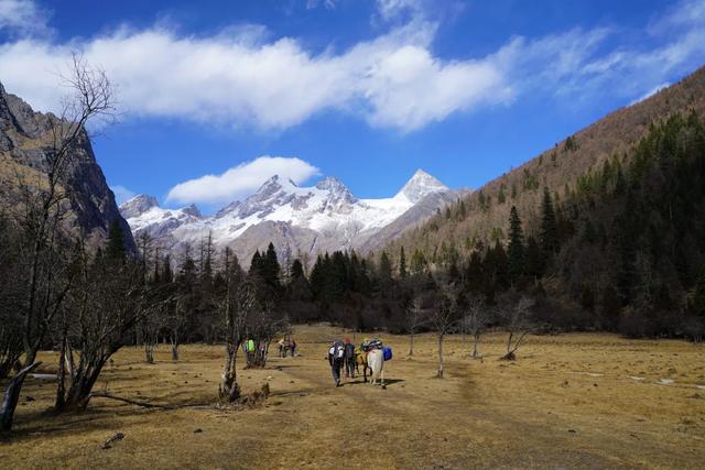 四姑娘雪山攀登,攀駱駝峰的點點記憶
